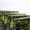 Primavera - Imagen 18