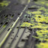 Primavera - Imagen 5